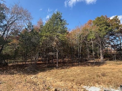 Residential Land in Greenbrier, AR
