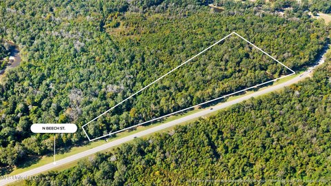 8.3 Acres Wooded Land Picayune
