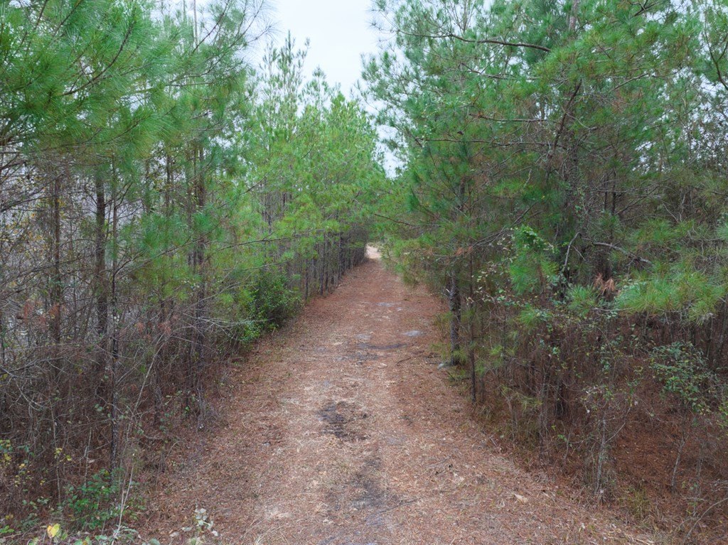 Picture 12