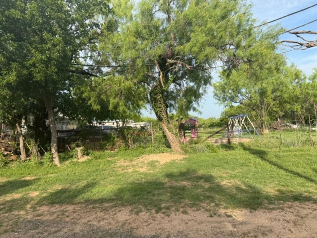 Picture 3