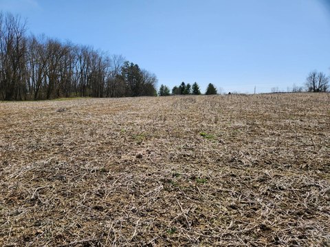 Vacant Land in Rome, NY