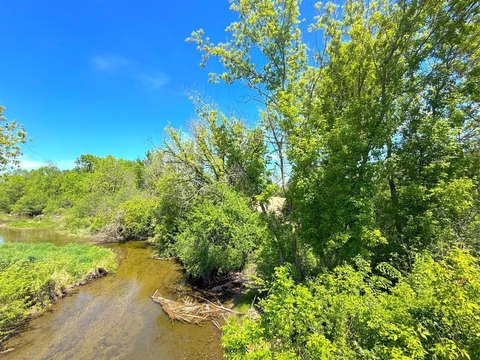 Wooded Waterfront Land Parcel
