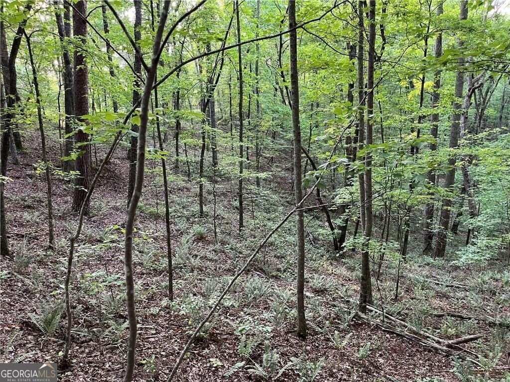 Talking Rock Creek Resort Land