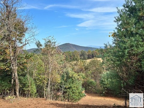 93 Acres near Blue Ridge Parkway