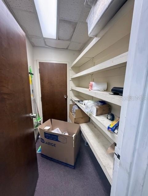 Picture 17