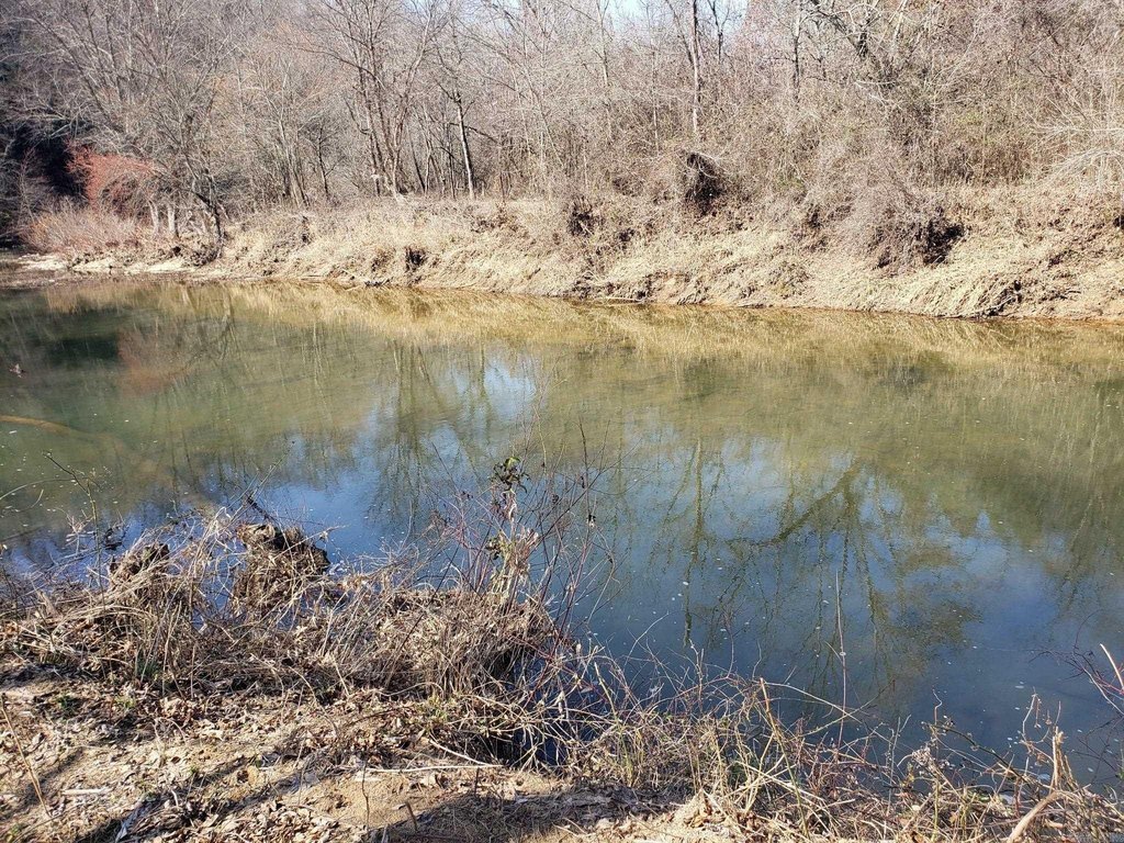 Picture 41