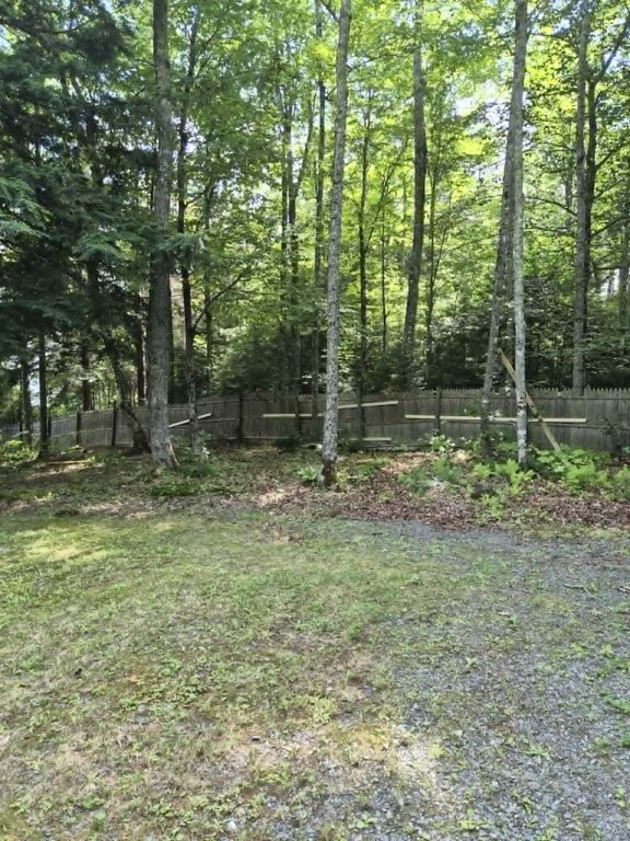 Picture 14