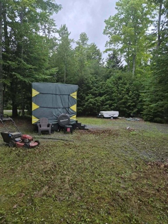 Picture 12