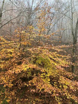 24 Acres Residential/Commercial Land