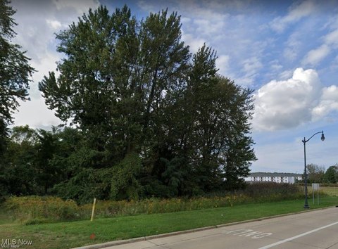 Painesville Twp Commercial Land For Sale