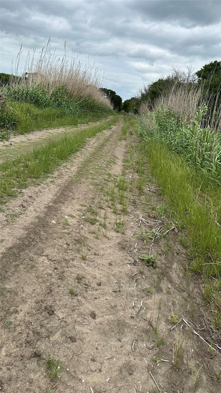 Picture 4