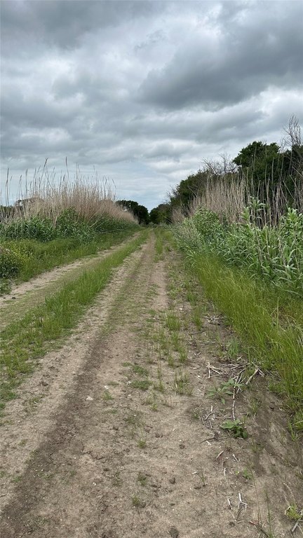 Picture 6