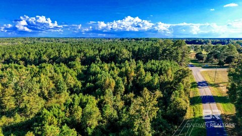 Land, Millry, AL