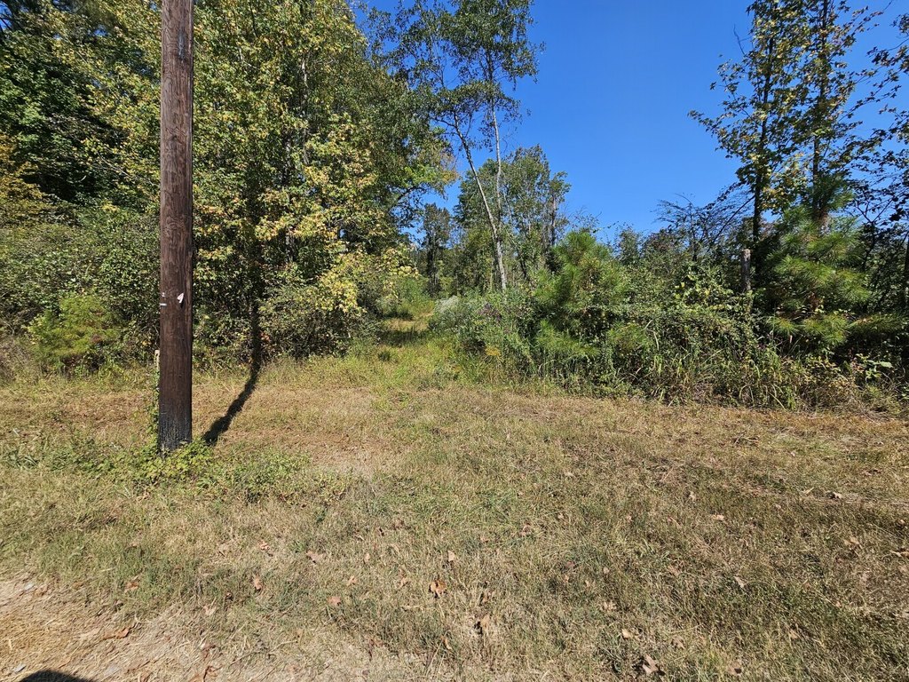 Picture 17