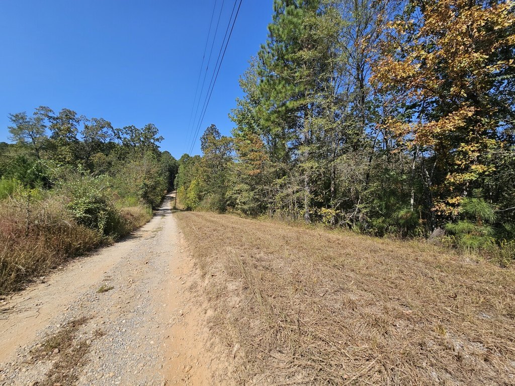Picture 4
