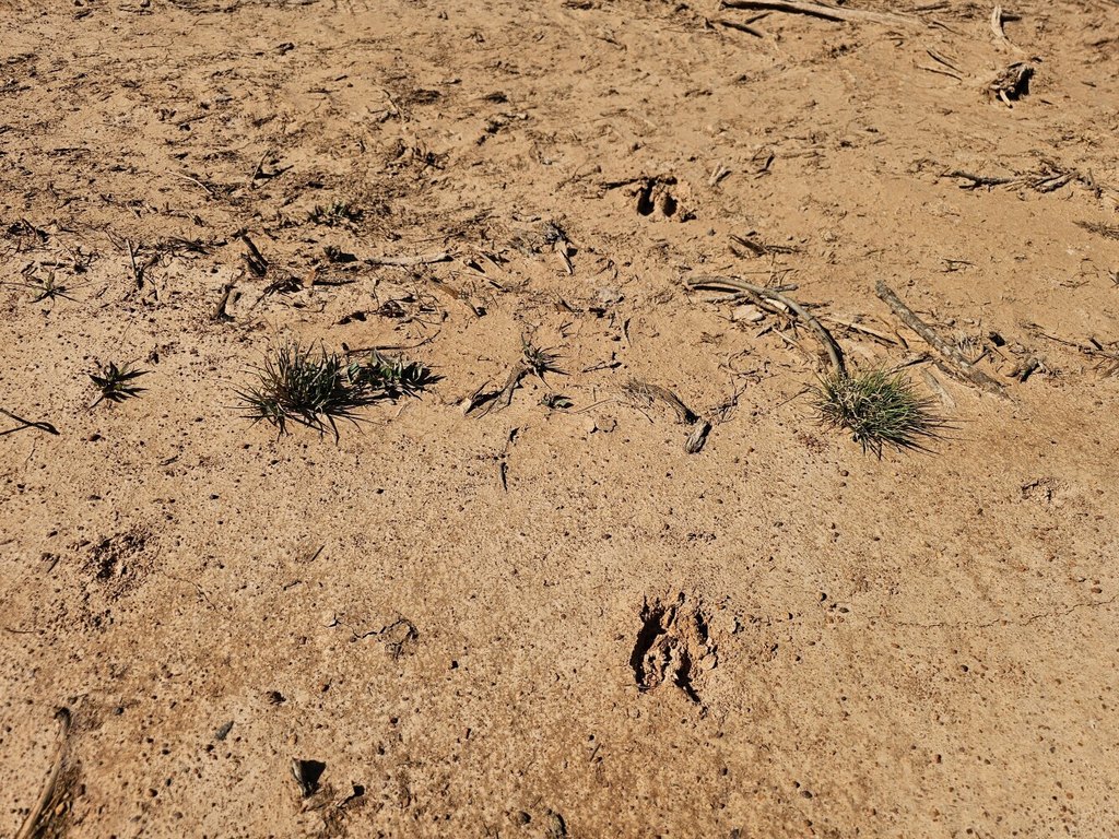 Picture 5