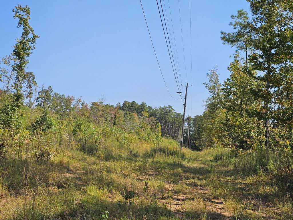 Picture 24