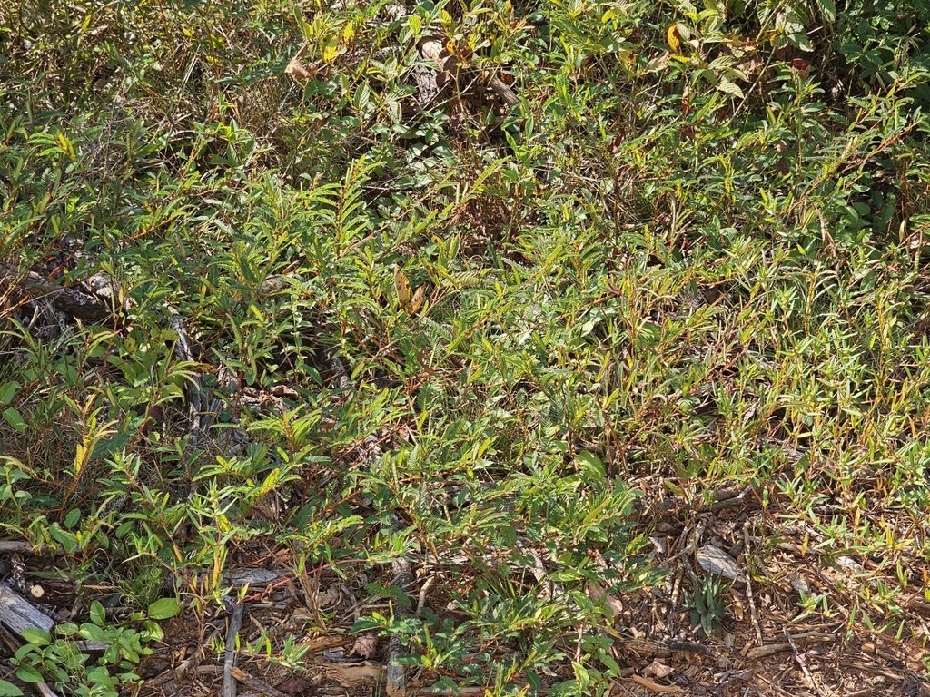 Picture 30