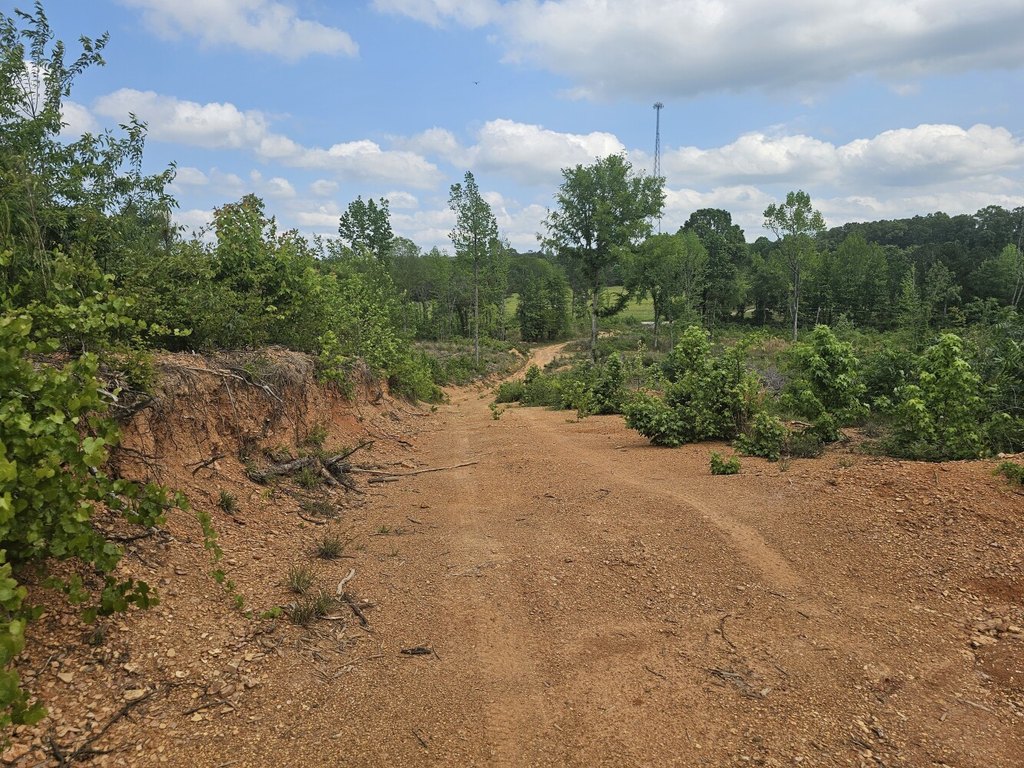 Picture 2