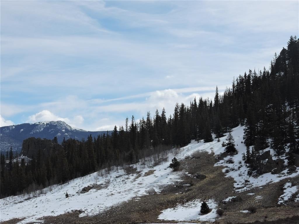 Picture 7