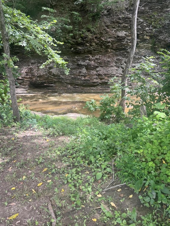 Picture 12