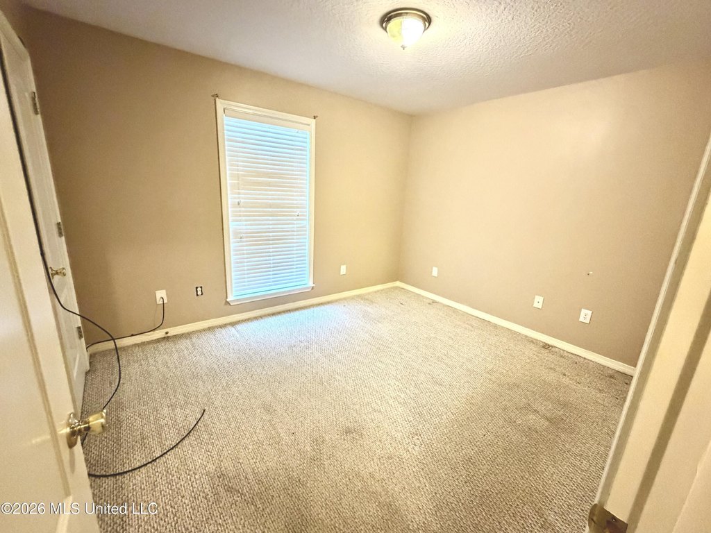 Picture 28