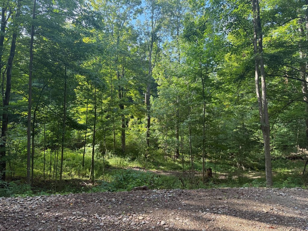 Picture 3