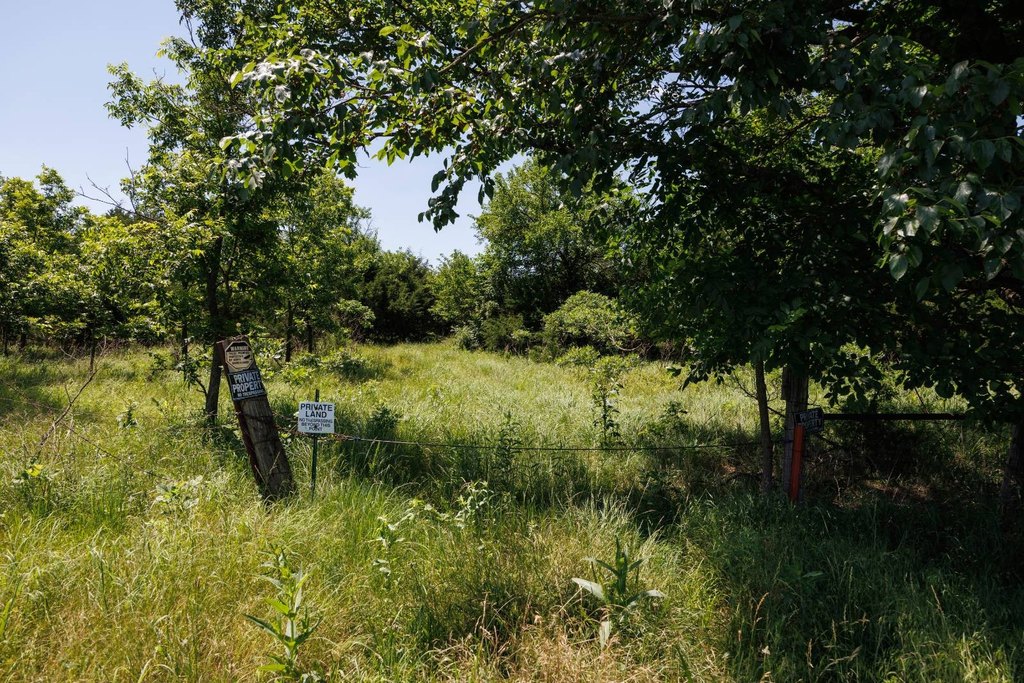 Picture 7