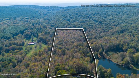 Lots & Acreage, Rockwood, TN