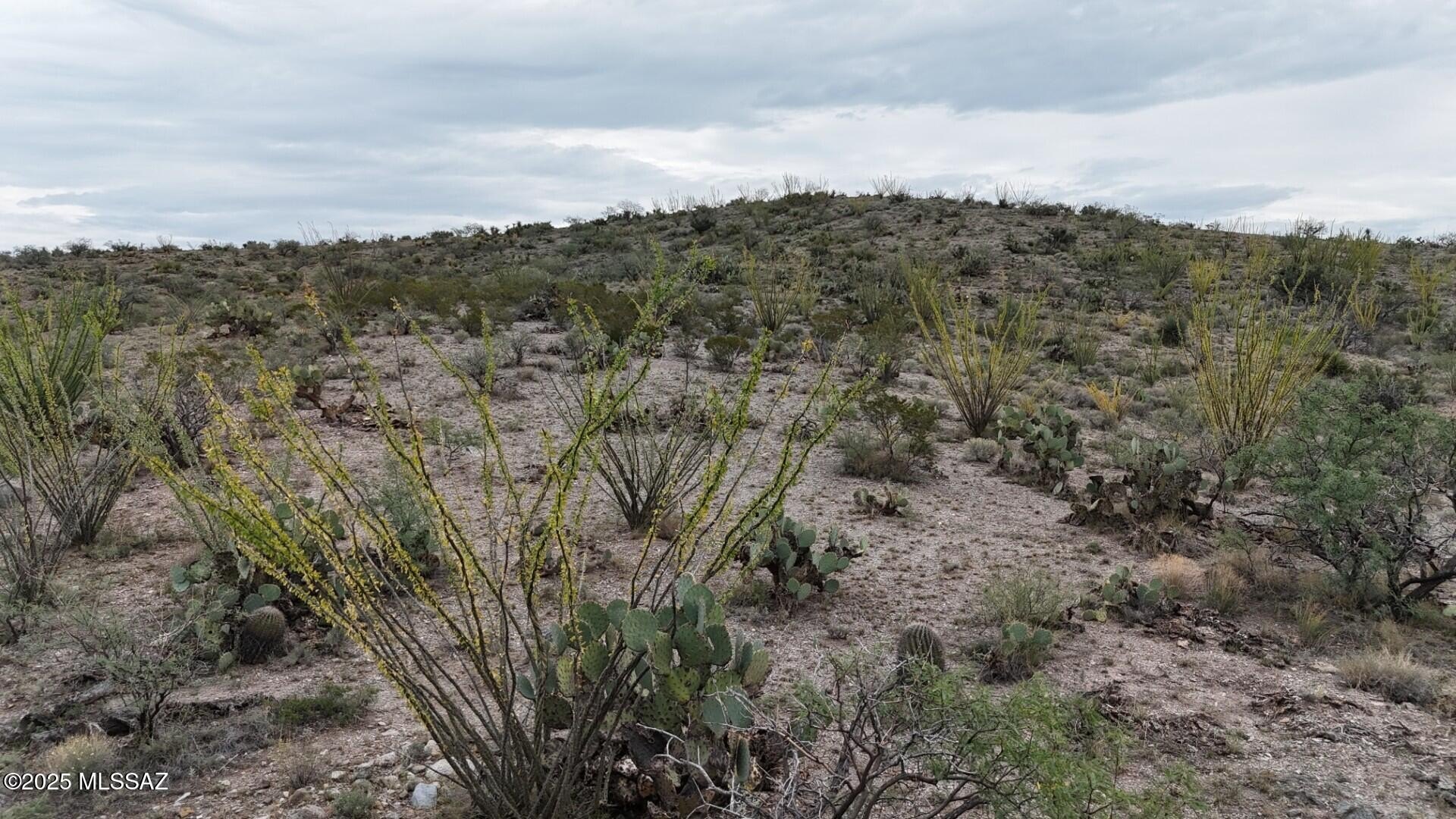 20 Acres Land with Views