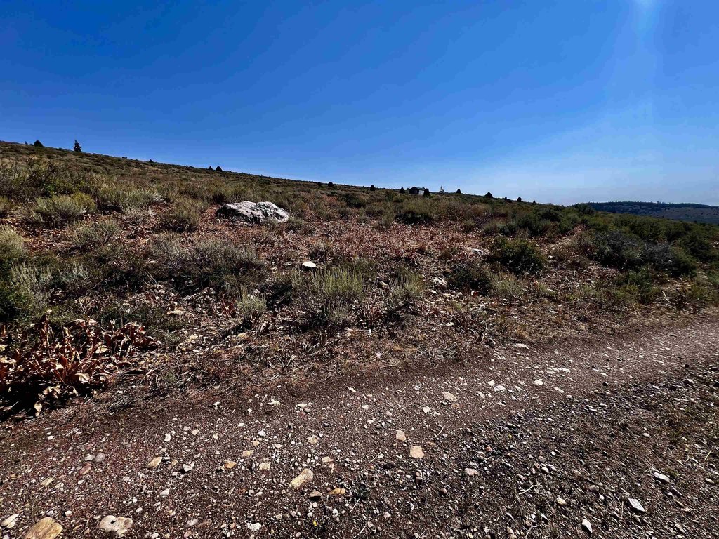 Picture 20