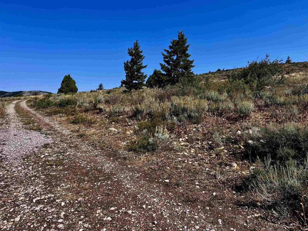 Picture 22