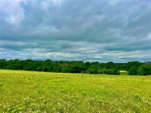 Residential Land Parcel with Oak Trees