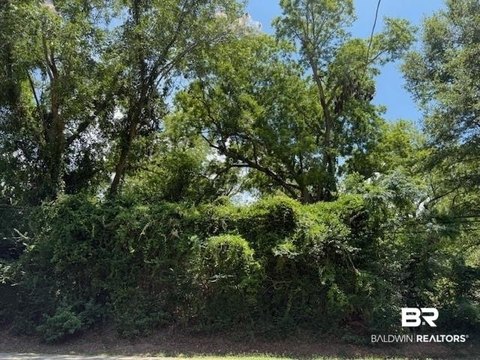 Residential Lots Near Daphne Beach