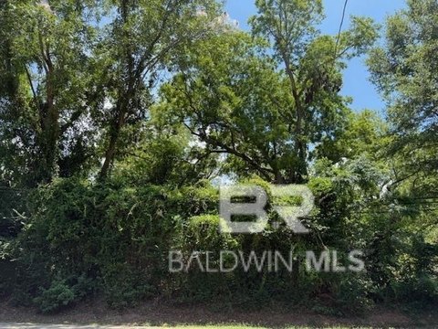 Residential Lots Near Daphne Beach