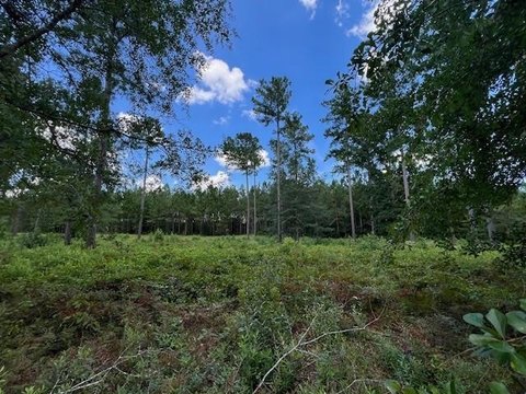 Half-Acre Homesite in Lakeside