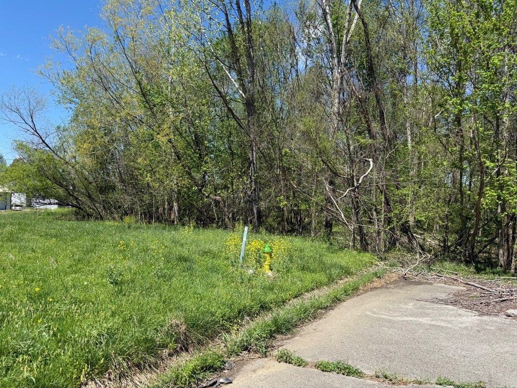 Picture 3