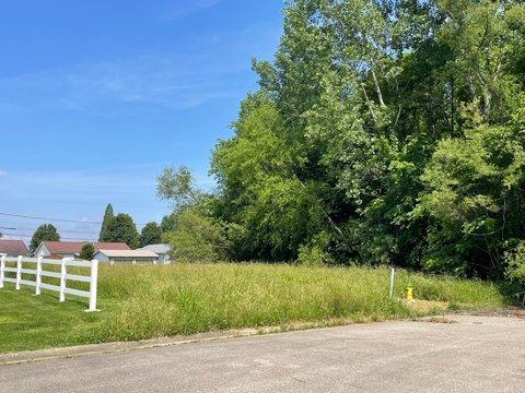 Spacious Buildable Lot in Tell