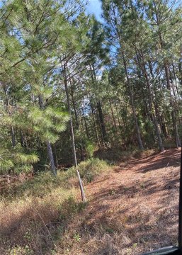 LAND - POLK CITY, FL
