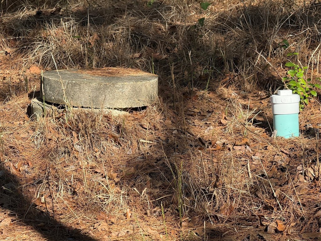Picture 6