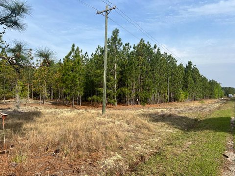 Unrestricted Hunting and Homesite Land