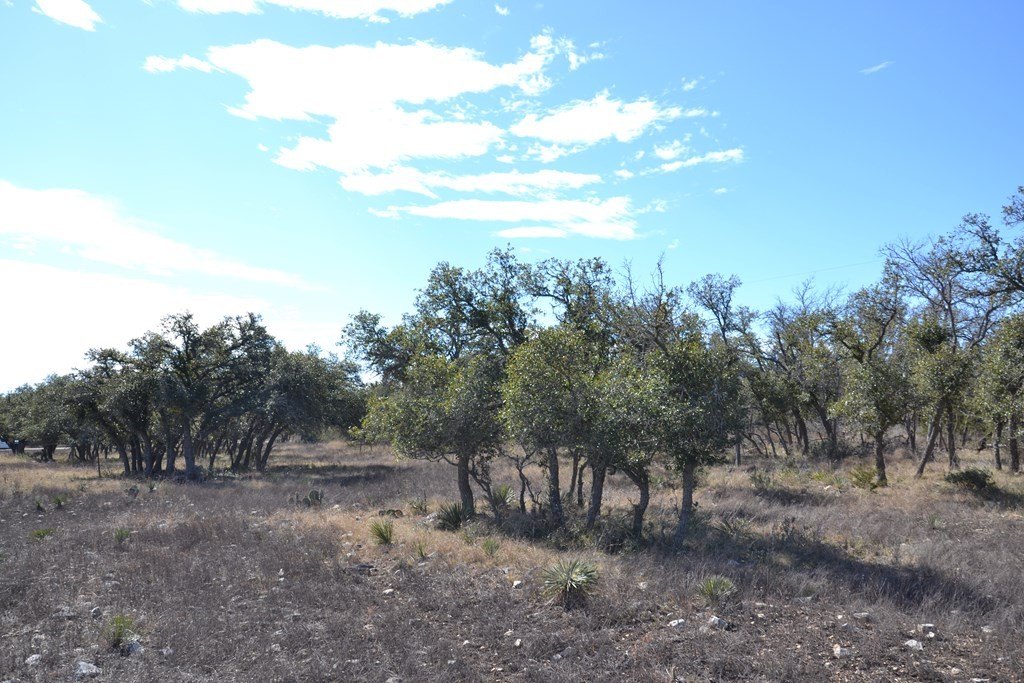 Picture 11