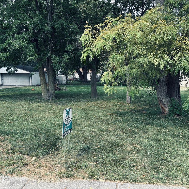 Picture 5