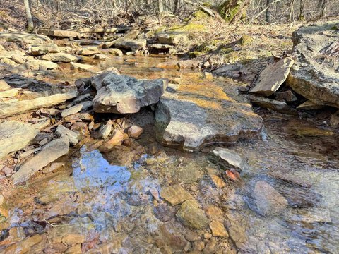 20 Acres Near Greers Ferry