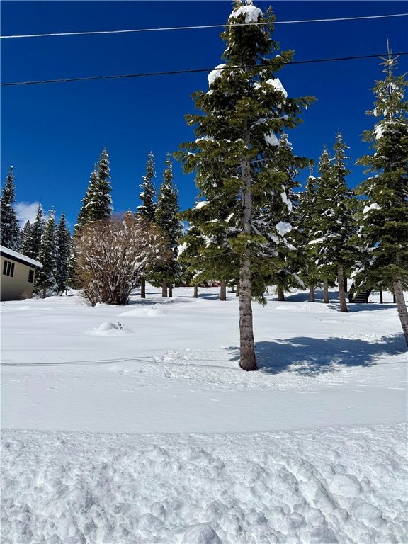 Picture 6