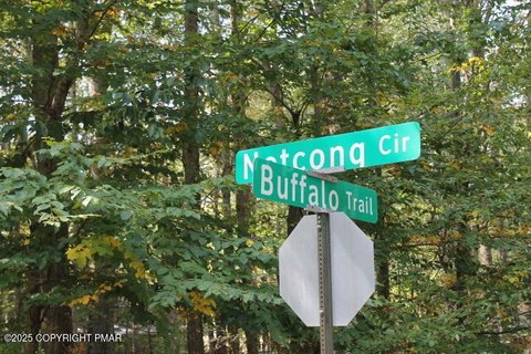 Pocono Lake Wooded Corner Lot