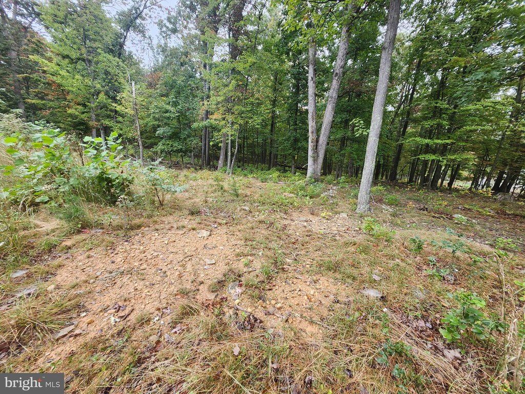 Picture 32