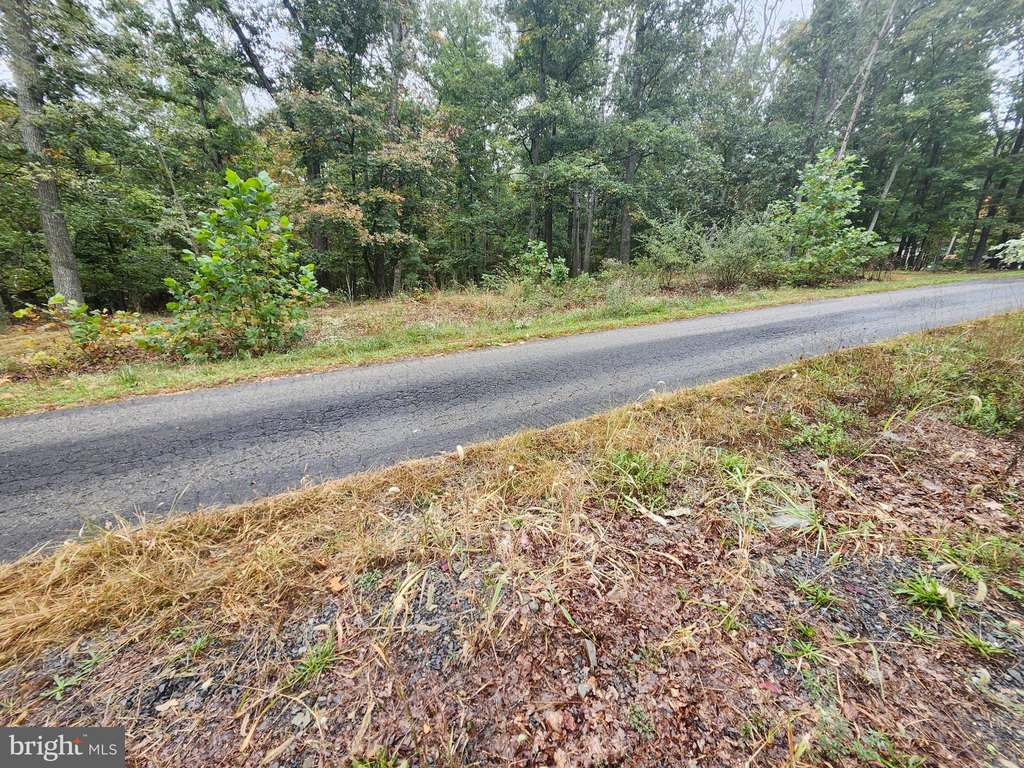 Picture 45