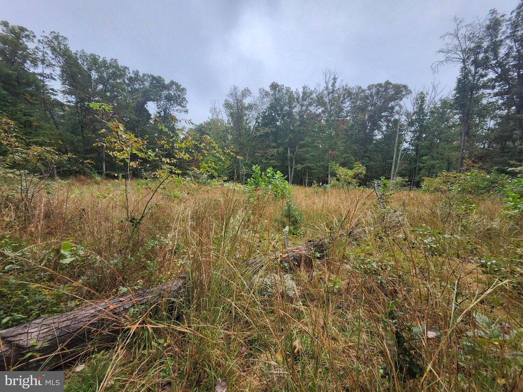 Picture 17