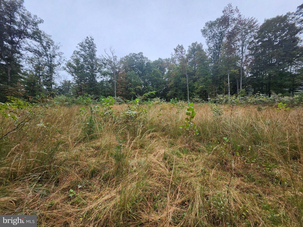 Picture 39